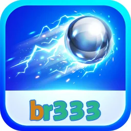 br333